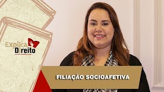 Explica Direito Filiação Socioafetiva  2019 [upl. by Adner850]