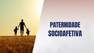 Paternidade socioafetiva [upl. by Gaves]