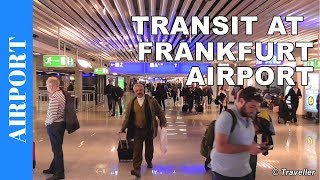 TRANSIT WALK AT FRANKFURT Airport FRA Terminal 1  Connection Flight Transfer Arriving amp Departing [upl. by Rosecan]